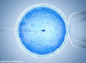 爱心供卵代怀助孕咨询哪家好